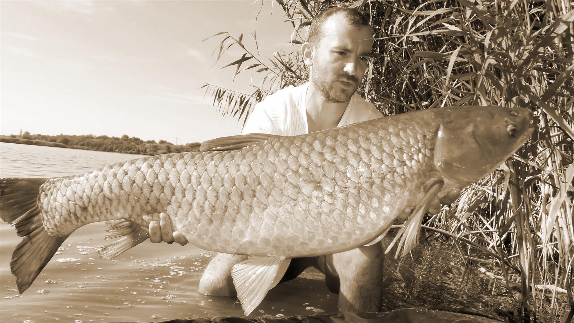 Pro Team - sepia-razvan-ten.jpg